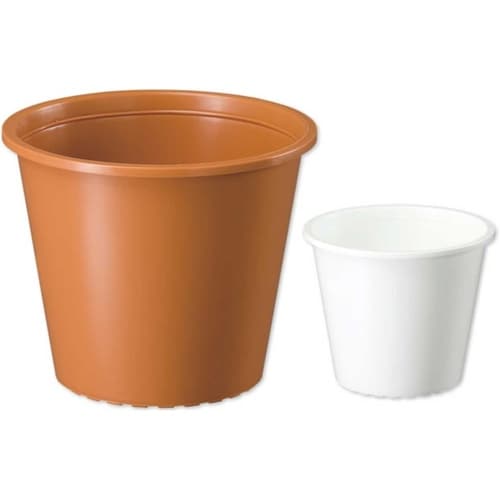 プラ鉢 6号 ホワイト