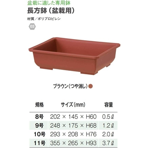長方鉢(盆栽用) 11号 ブラウン