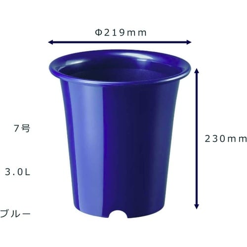 洋ラン鉢 7号 ブルー