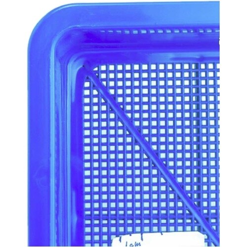 育苗箱 C型 ブルー