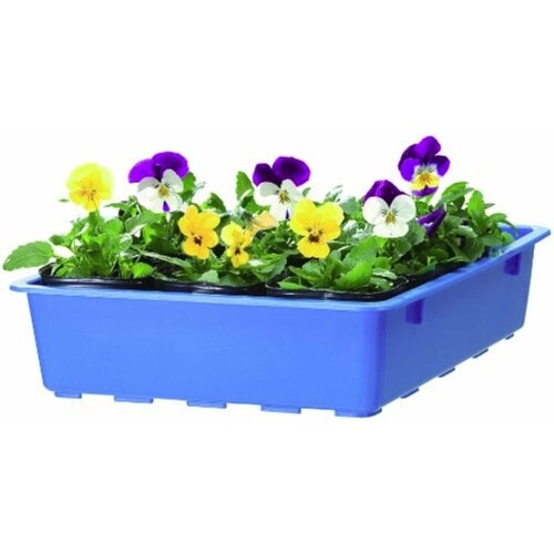 育苗箱 C型 ブルー