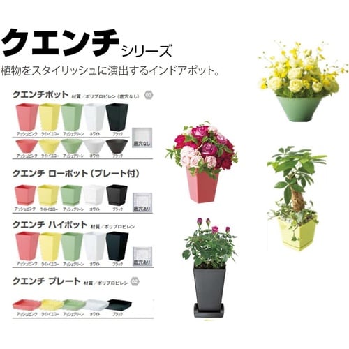 クエンチローポット(プレート付) 6号 ホワイト