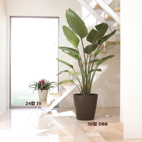 フレグラーポット 18型 アイボリー