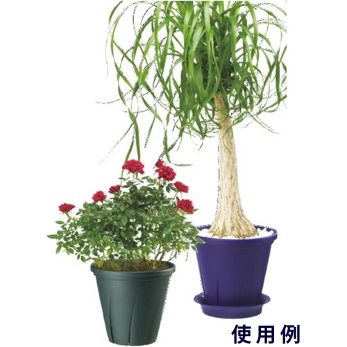 根はり鉢 7号 ダークグリーン