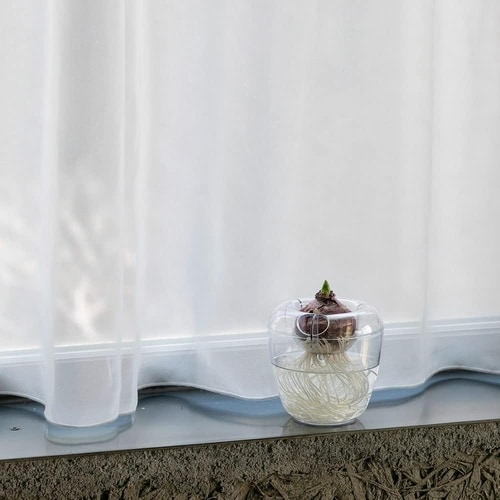 VASE シングル CL