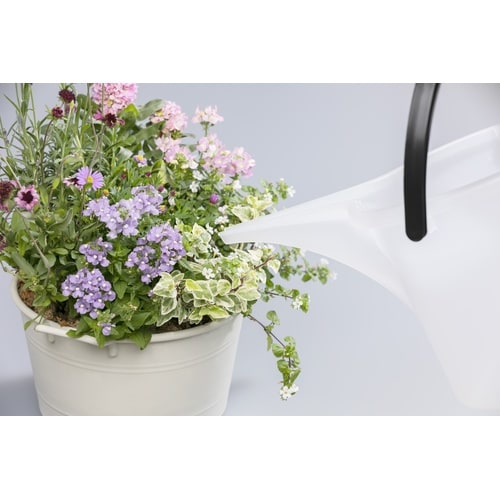 バケツ・エンジョイ 3型 クリア