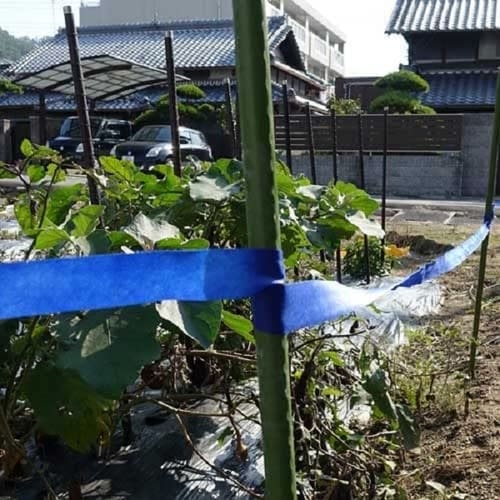 猪レスSTOPテープ 20mマキx1個