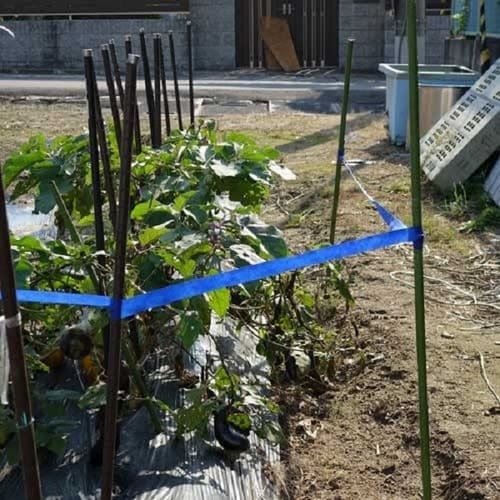 猪レスSTOPテープ 20mマキx1個