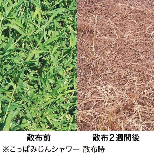 農薬 こっぱみじんシャワー 4L