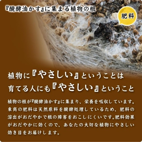 醗酵油かす 中粒 1.8kg