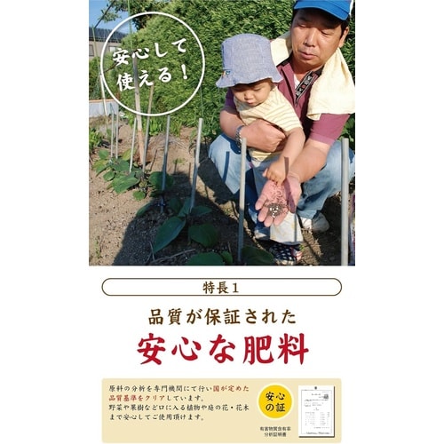 醗酵油かす 中粒 1.8kg