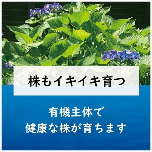 青アジサイの肥料 500g