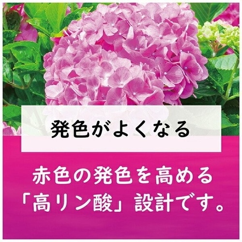 赤アジサイの肥料 500g