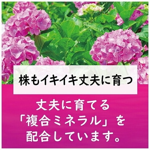 赤アジサイの肥料 500g