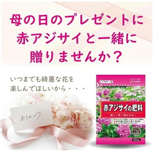 赤アジサイの肥料 500g