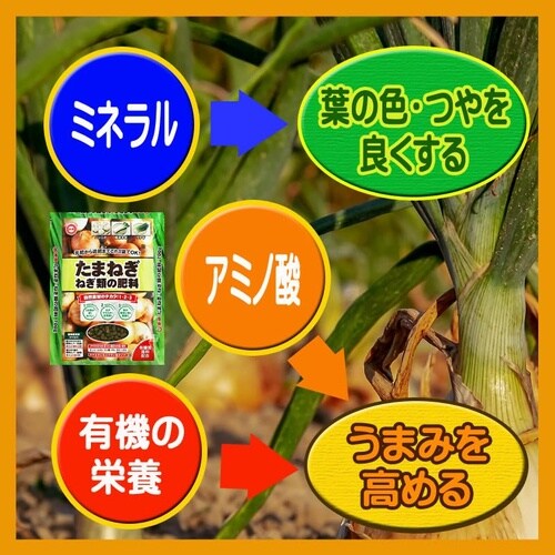 たまねぎ・ねぎ類の肥料 700g