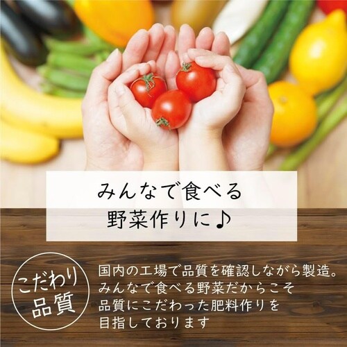 有機100% 野菜の肥料 650g