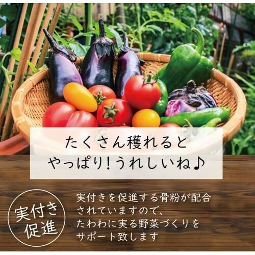 有機100% 野菜の肥料 650g