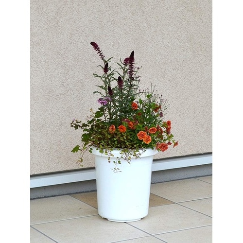 長鉢F型 7号 ホワイト