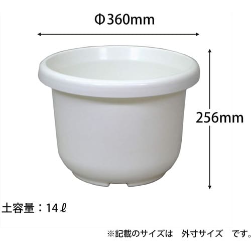 輪鉢F型 12号 ホワイト