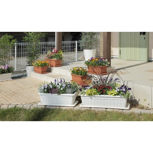 クイーンプランター 350型 ブラウン