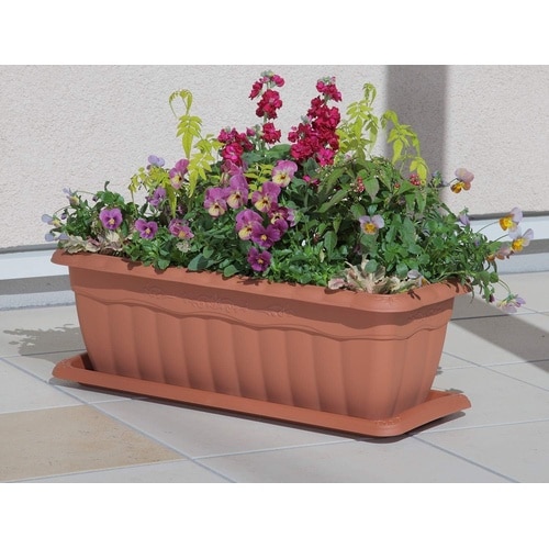 クイーンプランター 550型 ブラウン