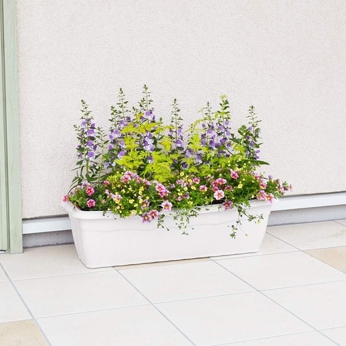 クイーンプランター 700型 ホワイト