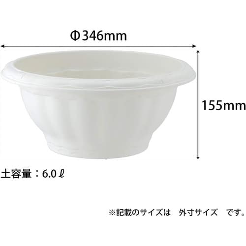 クイーンボール 35型 ホワイト