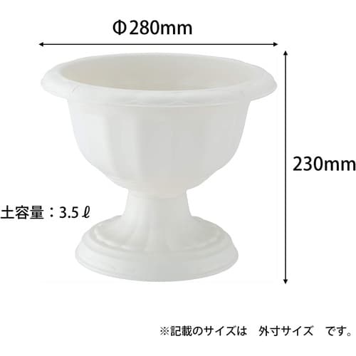 クイーンカップ 28型 ホワイト