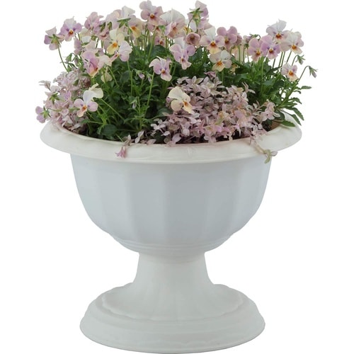 クイーンカップ 28型 ホワイト