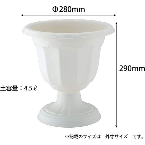 クイーンカップ D−28型 ホワイト