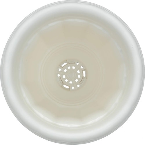 クイーンカップ D−28型 ホワイト