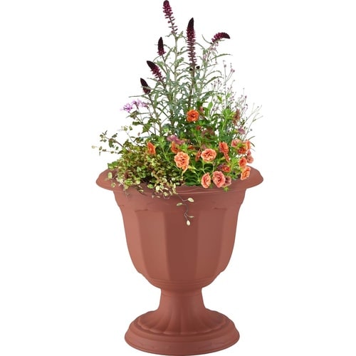 クイーンカップ D−28型 ブラウン