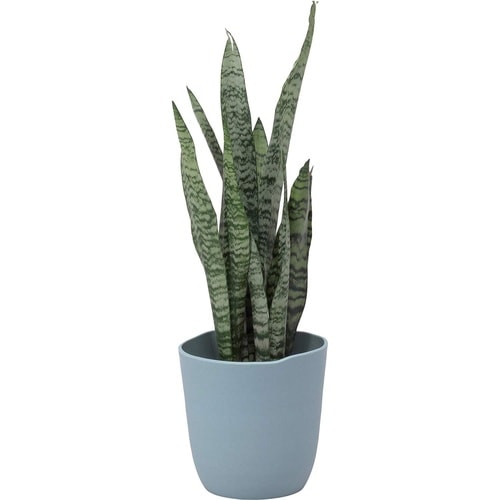 アトリエ ポット 23型 ライトグレー