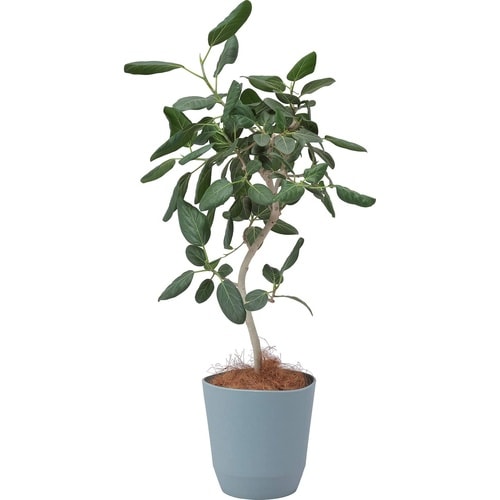 アトリエ ポット 27型 ライトグレー