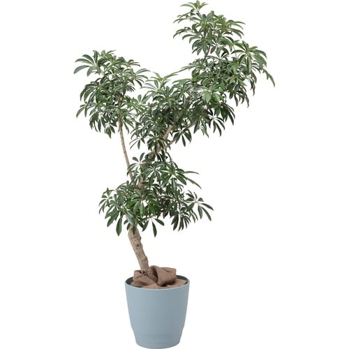 アトリエ ポット 37型 ライトグレー