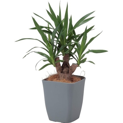 アトリエ スクエア 220型 ダークグレー