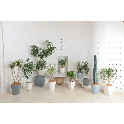 アトリエ スクエア 220型 ダークグレー