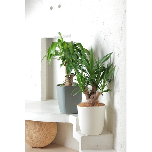 アトリエ スクエア 220型 ダークグレー