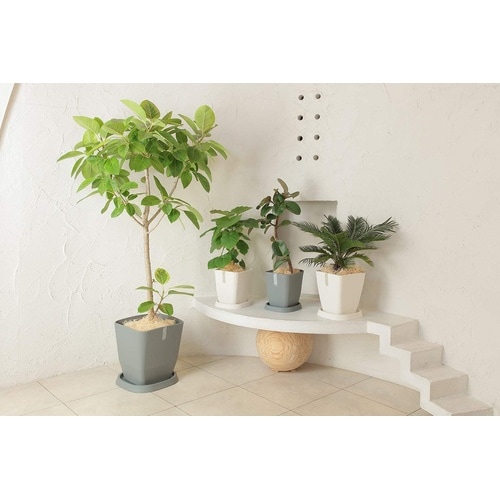 アトリエ スクエア 250型 ホワイト