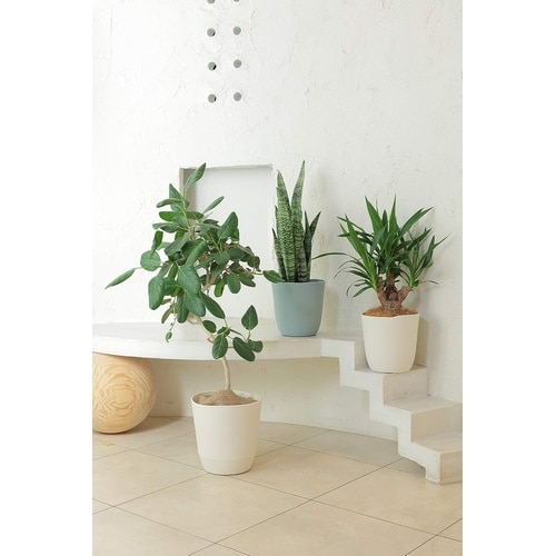 アトリエ スクエア 360型 ダークグレー