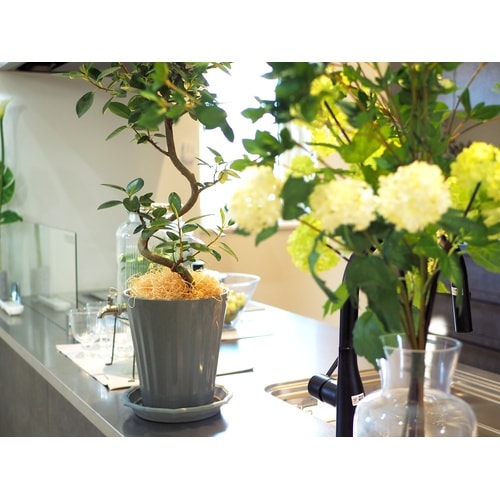 グロスポット 5号 ダークグレー