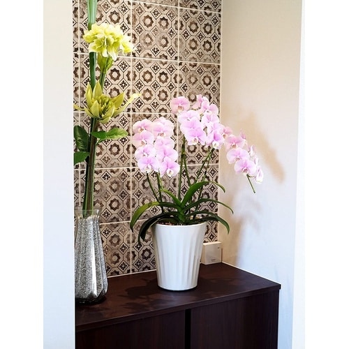 グロスポット 6号 ホワイト