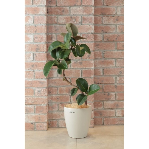 ラスターポット 225型 ホワイト