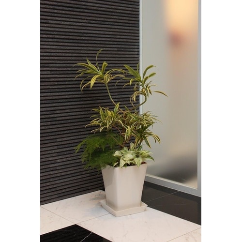 グラシアポット 245型 ホワイト