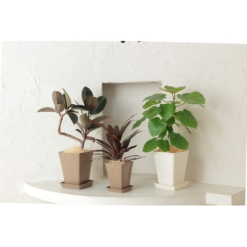 グラシアポット 245型 ホワイト