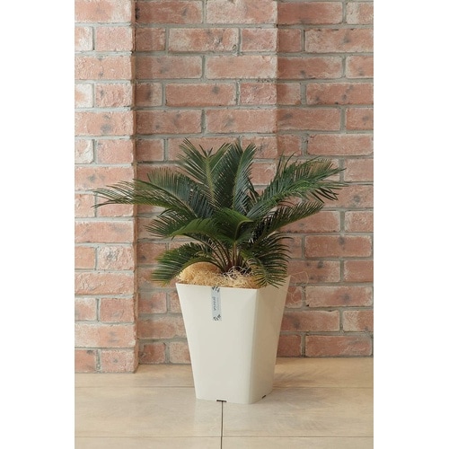 グラシアポット 245型 ホワイト