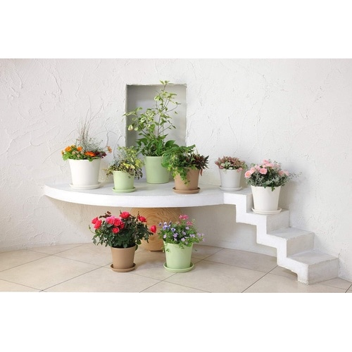 コティポット 220型 ホワイト