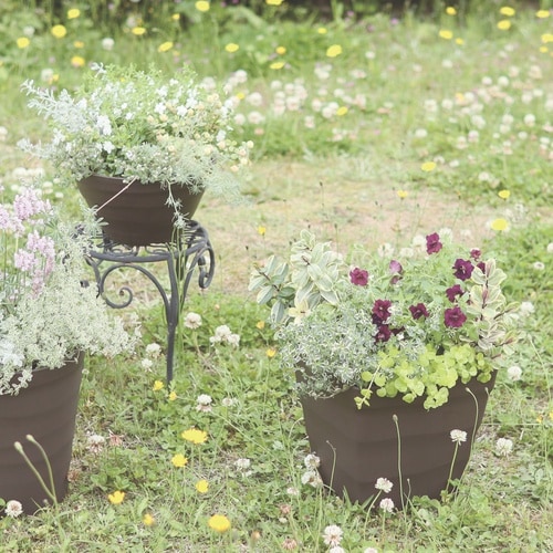 クラフトスクエア 25型 ダークブラウン