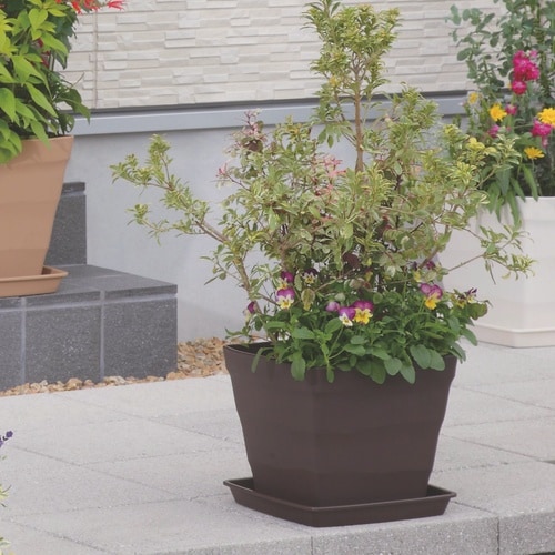 クラフトスクエア 30型 ダークブラウン